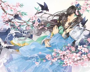 含羞草研究所2025入口